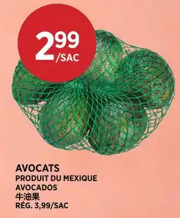 Kim Phat AVOCADOS offer