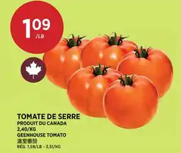 Kim Phat GEENHOUSE TOMATO offer