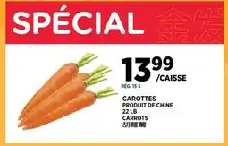 Kim Phat CARROTS offer