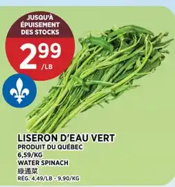 Kim Phat WATER SPINACH offer