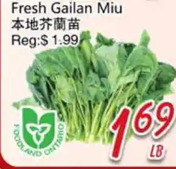 Foody Mart Fresh Gailan Miu offer