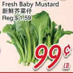 Foody Mart Fresh Baby Mustard offer