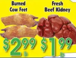 Danforth Food Market Burned Cow Feet, Fresh Beef Kidney offer