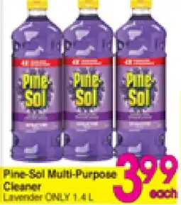Danforth Food Market Pine-Sol Multi-Purpose Cleaner offer