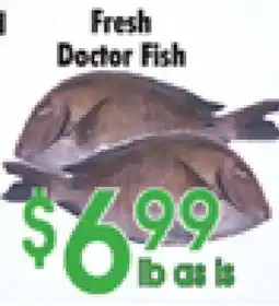 Danforth Food Market Fresh Doctor Fish offer