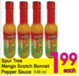 Danforth Food Market Spur Tree Mango Scotch Bonnet Pepper Sauce offer