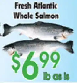 Danforth Food Market Fresh Atlantic Whole Salmon offer
