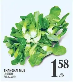 Al Premium Food Mart SHANGHAI MUE offer