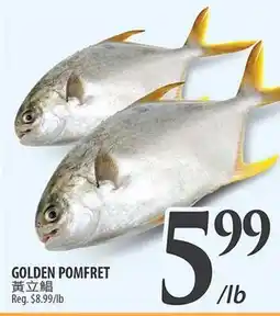 Al Premium Food Mart GOLDEN POMFRET offer