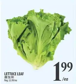 Al Premium Food Mart LETTUCE LEAF offer