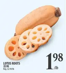 Al Premium Food Mart LOTUS ROOTS offer