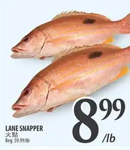 Al Premium Food Mart LANE SNAPPER offer