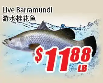 WinCo Food Mart Live Barramundi offer