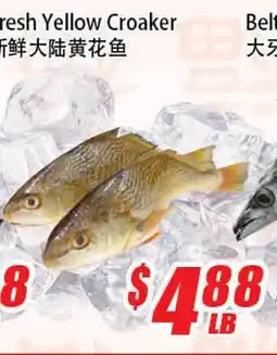 WinCo Food Mart Fresh Yellow Croaker offer