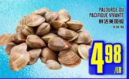 Marché Lian Tai PALOURDE DU PACIFIQUE VIVANTE offer
