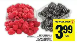 Food Basics Raspberries and Blackberries offer