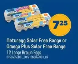 Real Canadian Superstore Naturegg Solar Free Range or Omega Plus Solar Free Range offer