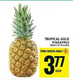 Food Basics Tropical Gold Pineapple offer