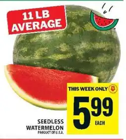 Food Basics Seedless Watermelon offer