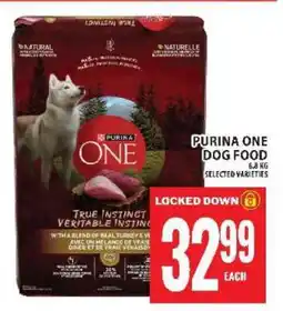 Food Basics PURINA ONE DOG FOOD offer