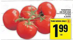 Food Basics TOMATOES ON THE VINE offer