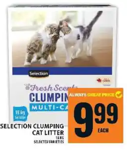 Food Basics SELECTION CLUMPING CAT LITTER offer