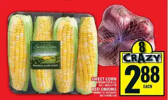 Food Basics SWEET CORN offer