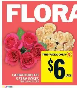 Food Basics Carnations or 5 Stem Roses offer