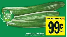 Food Basics Seedless Cucumber offer