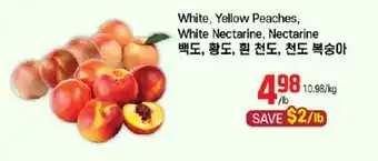 Galleria Supermarket White, Yellow Peaches, White Nectarine, Nectarine offer