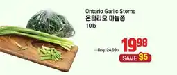 Galleria Supermarket Ontario Garlic Stems offer