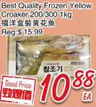 Foody Mart Best Quality Frozen Yellow Croaker 200/300 offer