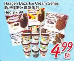 Foody Mart Haagen Dazs Ice Cream Series offer