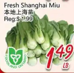Foody Mart Fresh Shanghai Miu offer