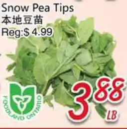 Foody Mart Snow Pea Tips offer