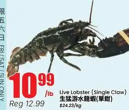 Btrust Supermarket Live Lobster (Single Claw) offer