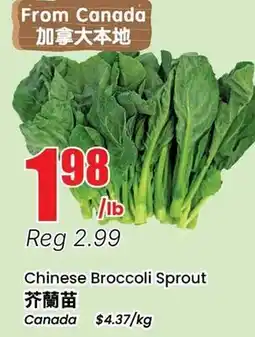 Btrust Supermarket Chinese Broccoli Sprout offer