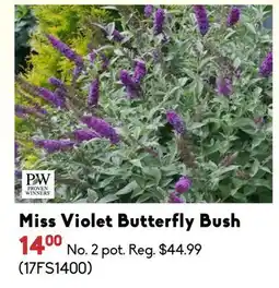 Sheridan Nurseries Proven winners Miss Violet Butterfly Bush offer
