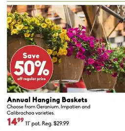 Sheridan Nurseries Annual Hanging Baskets offer