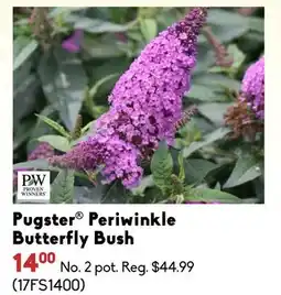Sheridan Nurseries Proven winners Pugster Periwinkle Butterfly Bush offer
