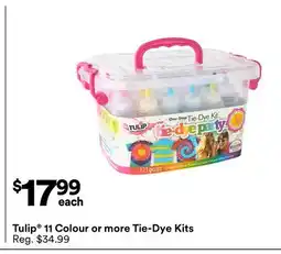Michaels Tulip 11 Colour or more Tie-Dye Kits offer