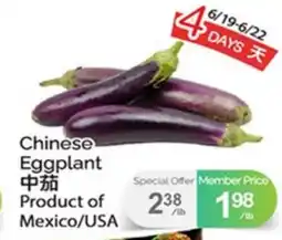 T&T Supermarket CHINESE EGGPLANT offer