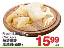 T&T Supermarket Fresh Specialty Chicken offer