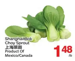 T&T Supermarket SHANGHAI BOK CHOY SPROUT offer