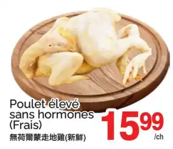 T&T Supermarket Poulet élevé sans hormones offer