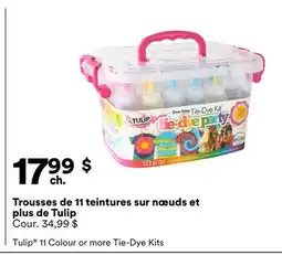 Michaels Trousses de 11 teintures sur nœuds et plus de Tulip offer