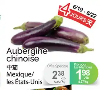 T&T Supermarket AUBERGINE CHINOISE offer