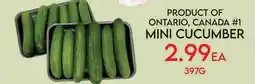 Fiesta Farms PRODUCT OF ONTARIO, CANADA #1 MINI CUCUMBER offer