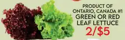 Fiesta Farms PRODUCT OF ONTARIO, CANADA #1 GREEN OR RED LEAF LETTUCE offer