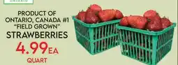 Fiesta Farms PRODUCT OF ONTARIO, CANADA #1 FIELD GROWN STRAWBERRIES offer